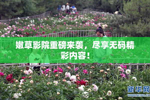 嫩草影院重磅来袭，尽享无码精彩内容！