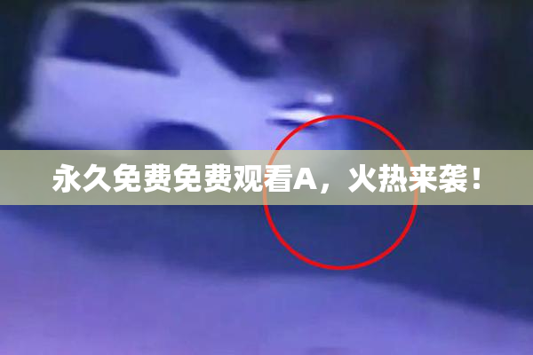 永久免费免费观看A，火热来袭！