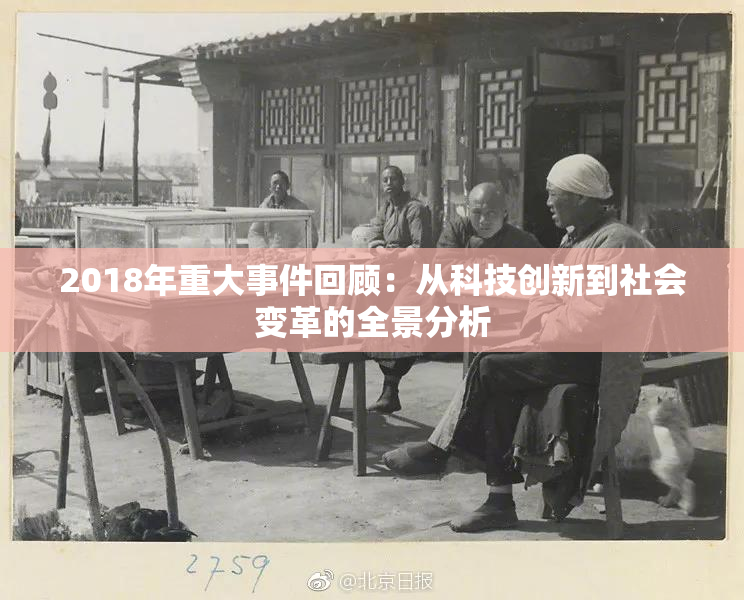 2018年重大事件回顾：从科技创新到社会变革的全景分析