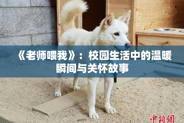 《老师喂我》：校园生活中的温暖瞬间与关怀故事