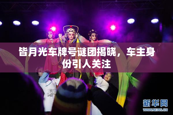 皆月光车牌号谜团揭晓，车主身份引人关注