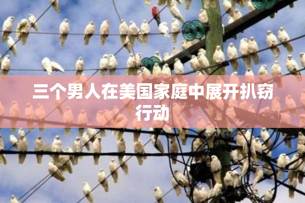 三个男人在美国家庭中展开扒窃行动