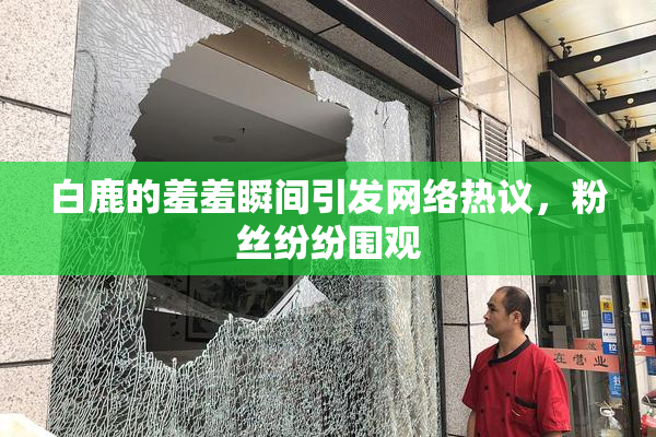 白鹿的羞羞瞬间引发网络热议，粉丝纷纷围观
