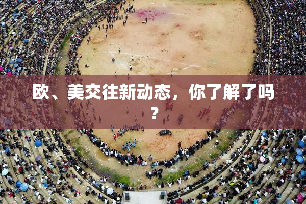 欧、美交往新动态，你了解了吗？