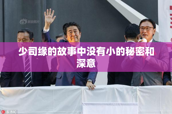 少司缘的故事中没有小的秘密和深意