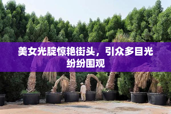 美女光腚惊艳街头，引众多目光纷纷围观
