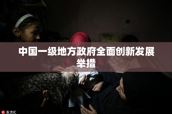 中国一级地方政府全面创新发展举措