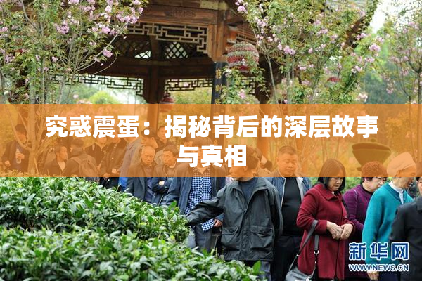 究惑震蛋：揭秘背后的深层故事与真相