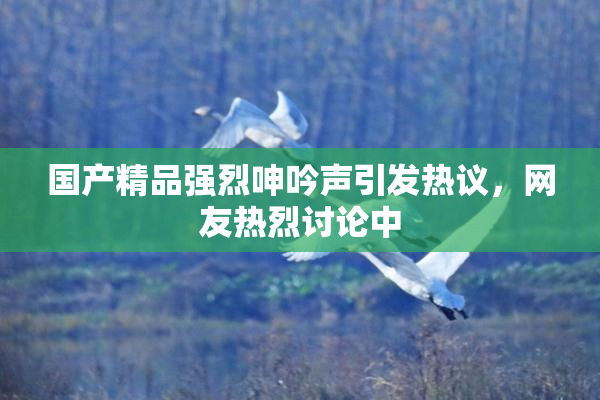 国产精品强烈呻吟声引发热议，网友热烈讨论中