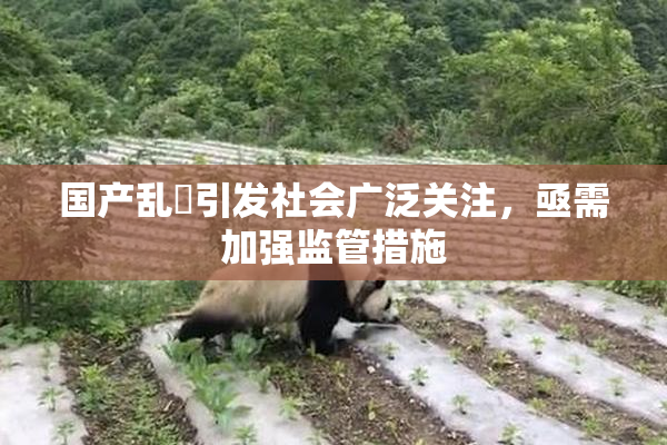 国产乱婬引发社会广泛关注，亟需加强监管措施