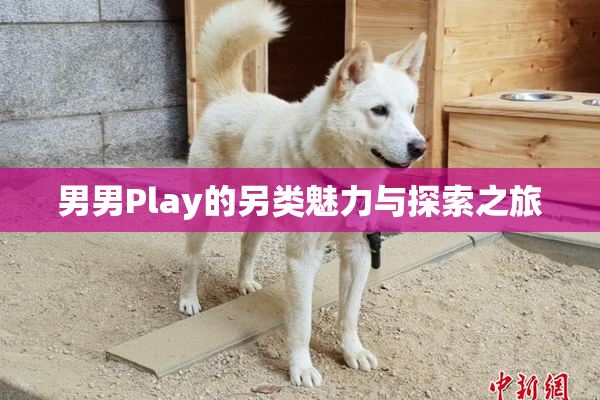 男男Play的另类魅力与探索之旅