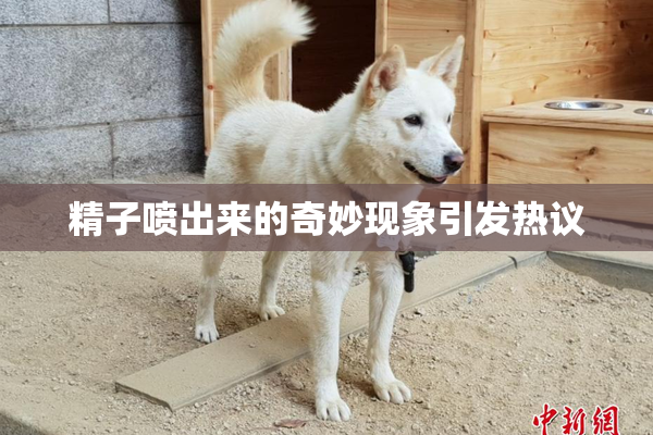 精子喷出来的奇妙现象引发热议