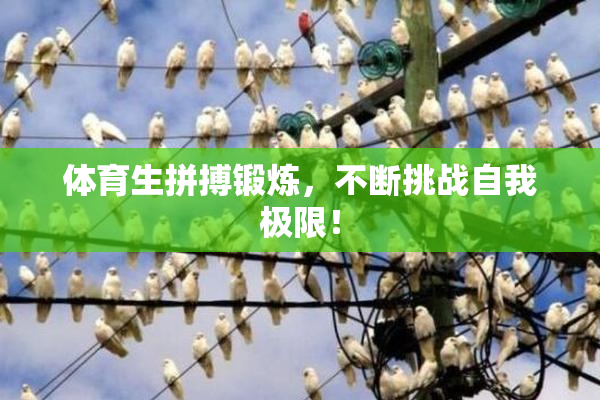 体育生拼搏锻炼，不断挑战自我极限！