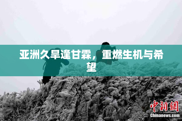 亚洲久旱逢甘霖，重燃生机与希望