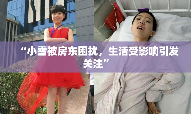 “小雪被房东困扰，生活受影响引发关注”