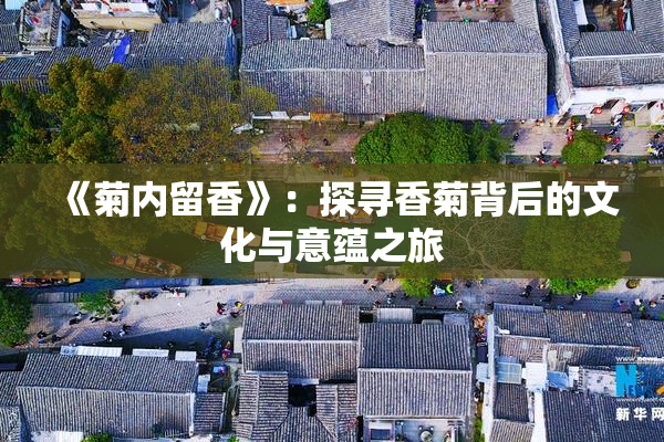 《菊内留香》：探寻香菊背后的文化与意蕴之旅