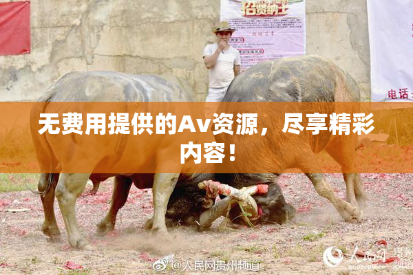 无费用提供的Av资源，尽享精彩内容！