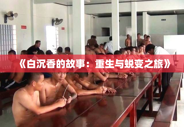 《白沉香的故事：重生与蜕变之旅》