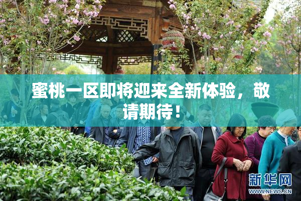 蜜桃一区即将迎来全新体验，敬请期待！