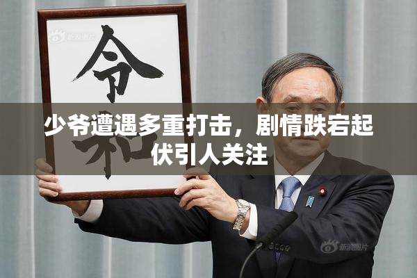 少爷遭遇多重打击，剧情跌宕起伏引人关注