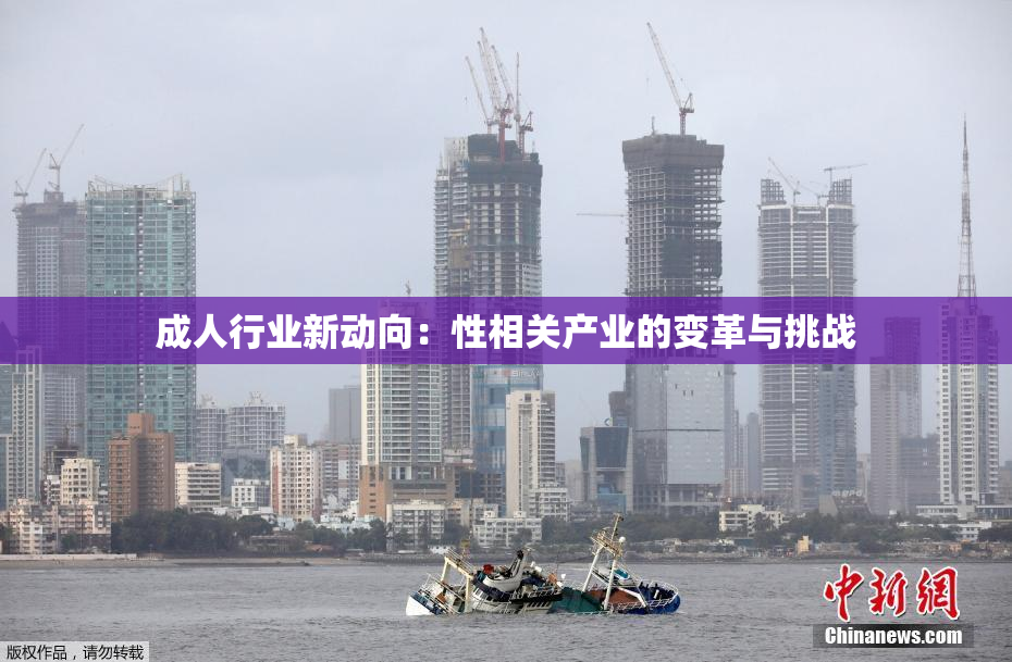 成人行业新动向：性相关产业的变革与挑战
