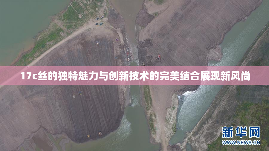 17c丝的独特魅力与创新技术的完美结合展现新风尚