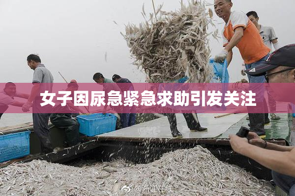 女子因尿急紧急求助引发关注