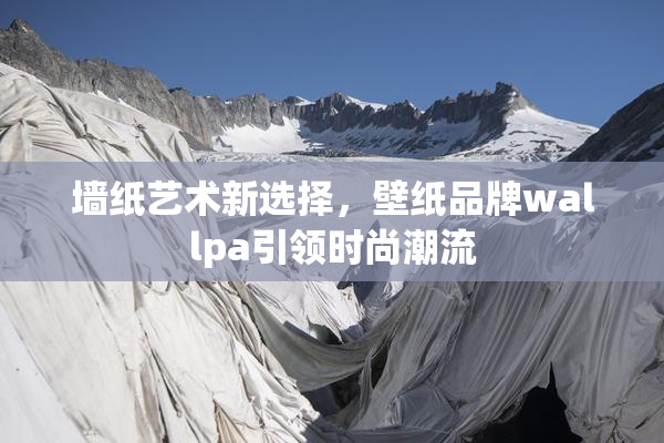 墙纸艺术新选择，壁纸品牌wallpa引领时尚潮流