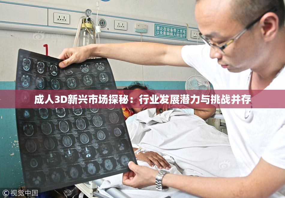 成人3D新兴市场探秘：行业发展潜力与挑战并存
