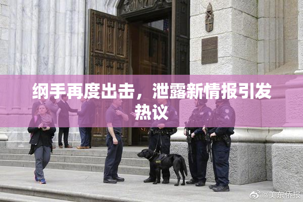 纲手再度出击，泄露新情报引发热议