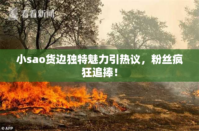 小sao货边独特魅力引热议，粉丝疯狂追捧！