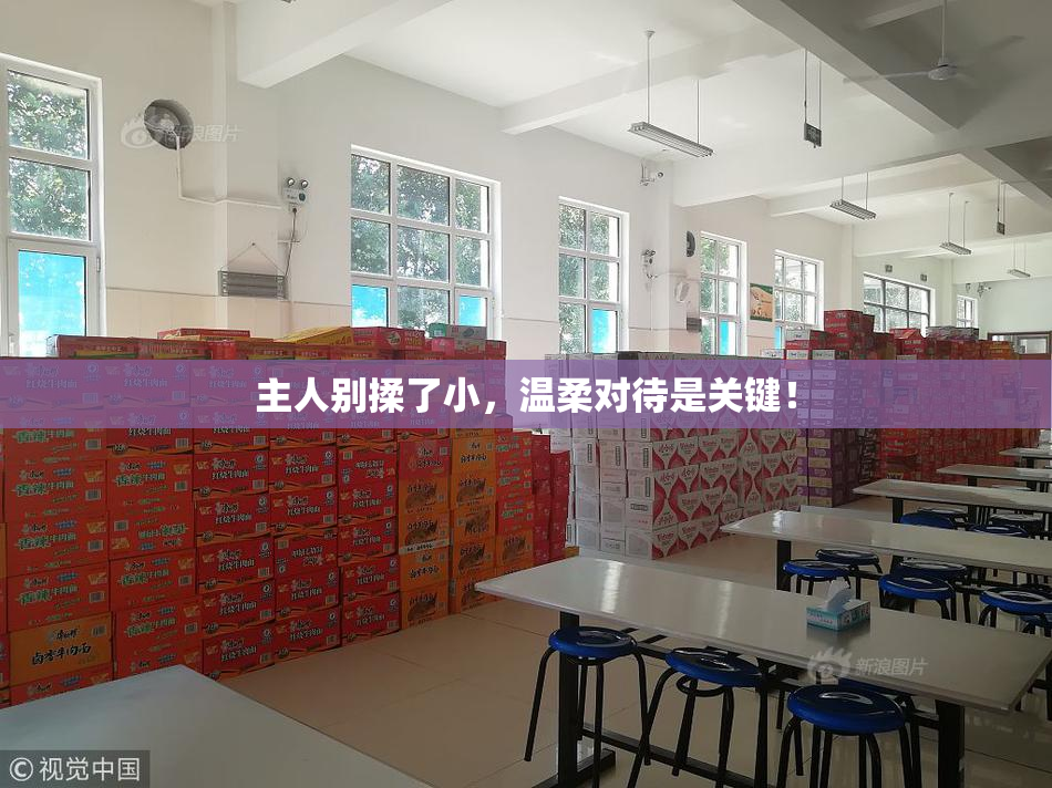 主人别揉了小，温柔对待是关键！