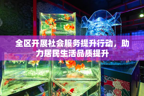 全区开展社会服务提升行动，助力居民生活品质提升