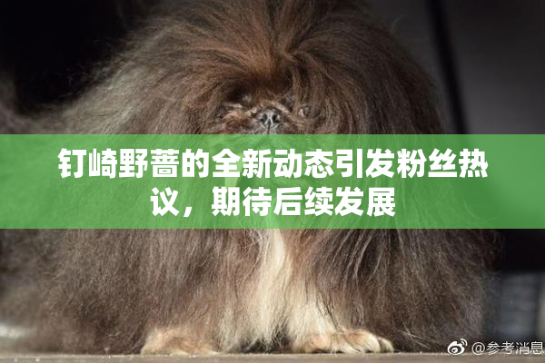 钉崎野蔷的全新动态引发粉丝热议，期待后续发展