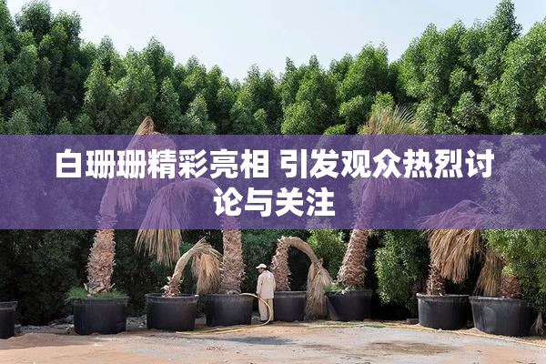 白珊珊精彩亮相 引发观众热烈讨论与关注