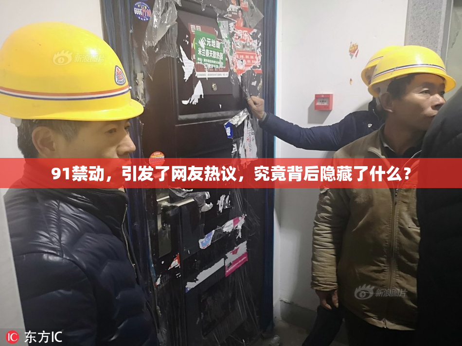 91禁动，引发了网友热议，究竟背后隐藏了什么？