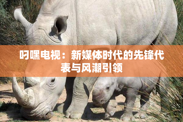 叼嘿电视：新媒体时代的先锋代表与风潮引领