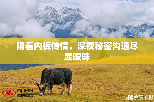 隔着内裤传情，深夜秘密沟通尽显暧昧