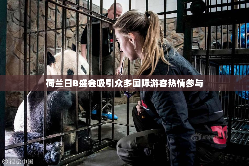 荷兰日B盛会吸引众多国际游客热情参与