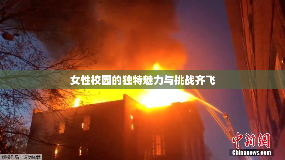 女性校园的独特魅力与挑战齐飞
