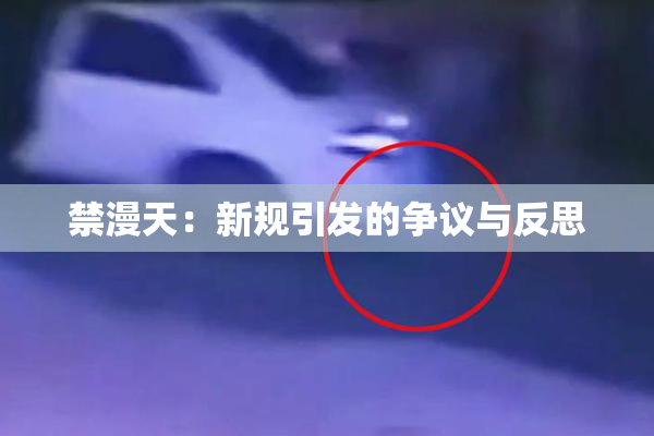 禁漫天：新规引发的争议与反思