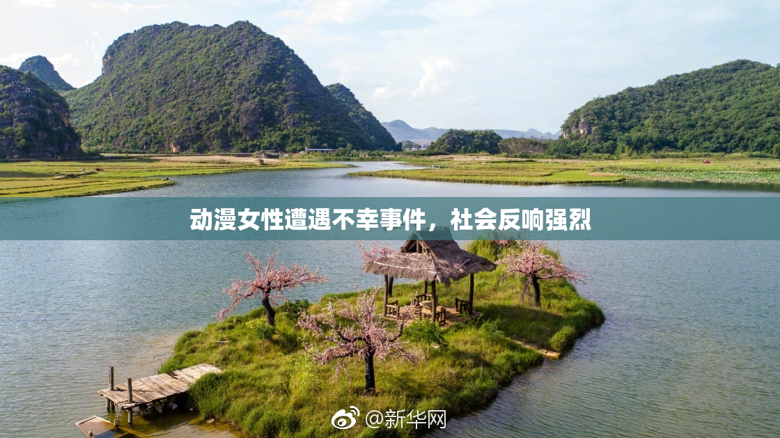 动漫女性遭遇不幸事件，社会反响强烈