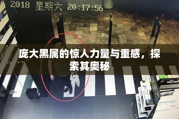 庞大黑属的惊人力量与重感，探索其奥秘