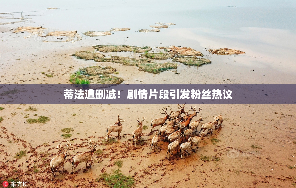 蒂法遭删减！剧情片段引发粉丝热议