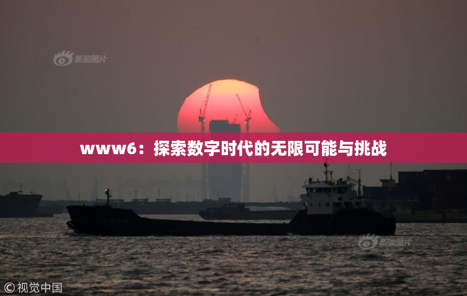 www6：探索数字时代的无限可能与挑战
