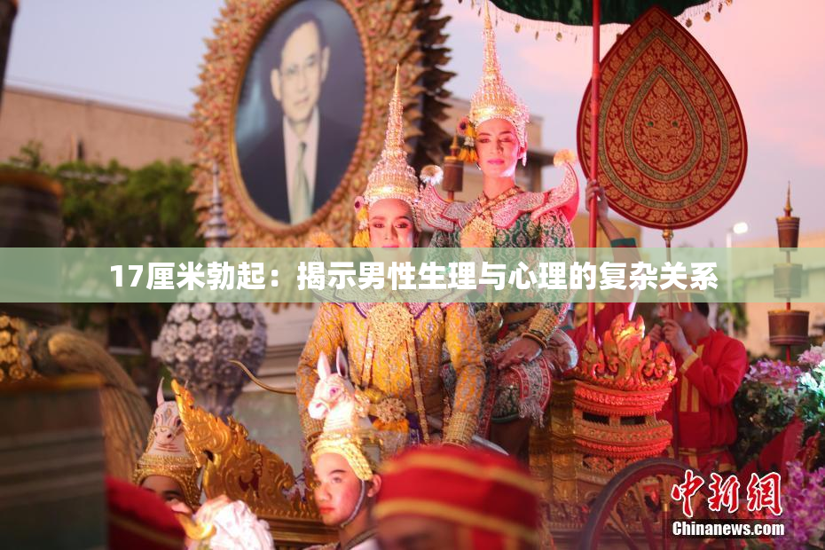 17厘米勃起：揭示男性生理与心理的复杂关系