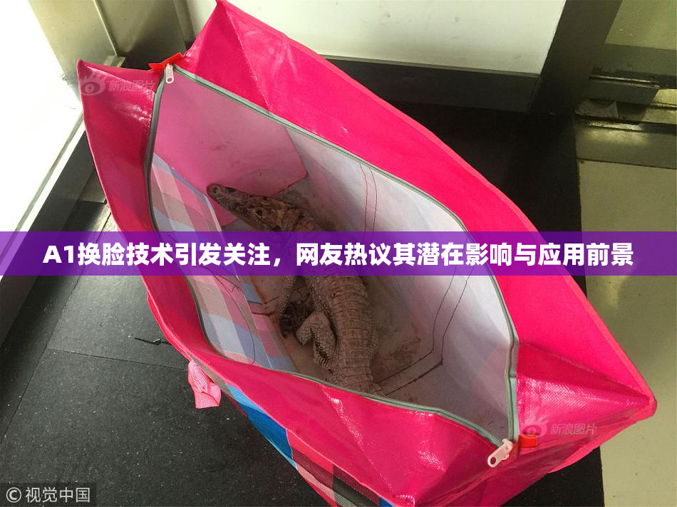A1换脸技术引发关注，网友热议其潜在影响与应用前景