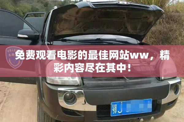 免费观看电影的最佳网站ww，精彩内容尽在其中！
