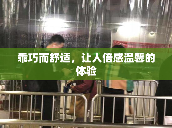 乖巧而舒适，让人倍感温馨的体验