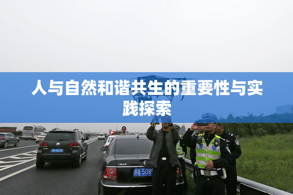 人与自然和谐共生的重要性与实践探索